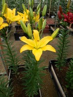 [5702 DJ AZ-01 No01.JPG]